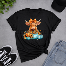 Load image into Gallery viewer, Highland cow pumpkin graphic tee with blue pumpkins and sunflowers
